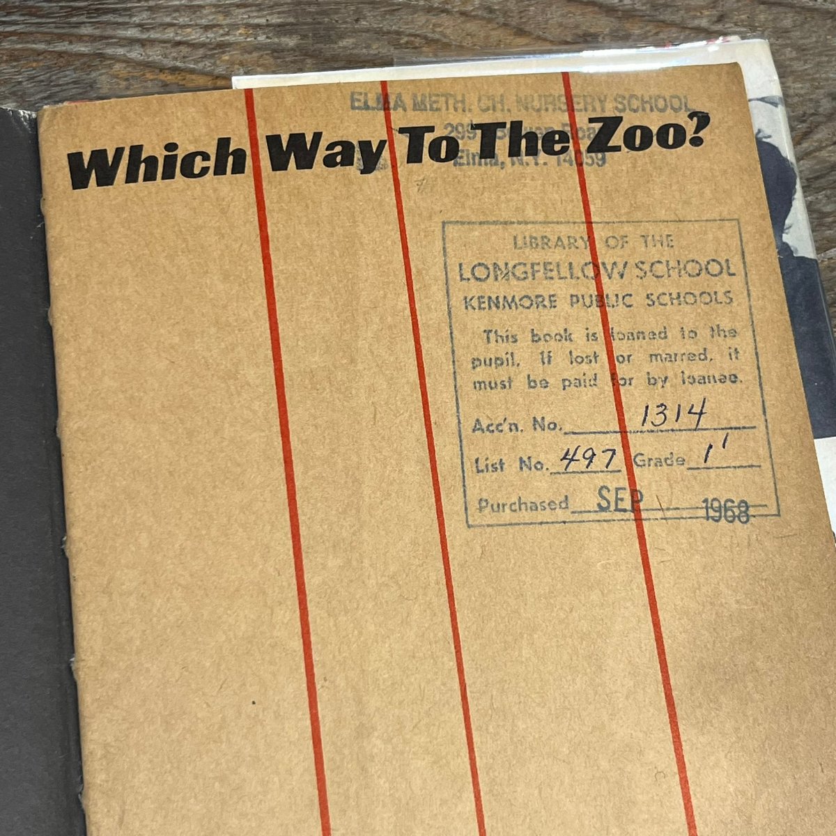 WHICH Way To The Zoo? | Soleil et Lune Online S