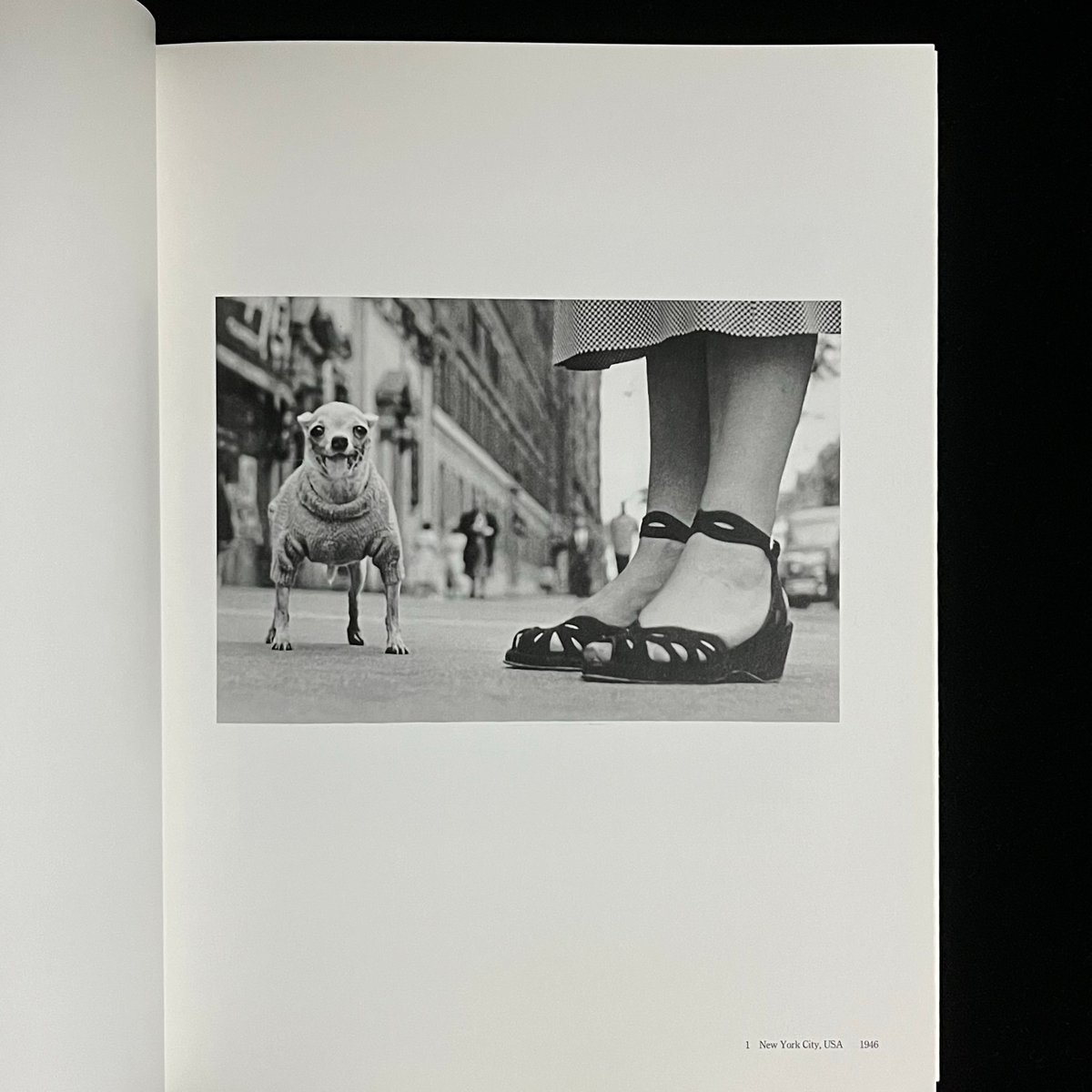Elliott Erwitt | Soleil et Lune Online Store