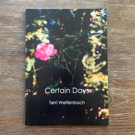 Terri Weifenbach:The May Sunテリ・ワイフェンバック terriweifenbach | STORES