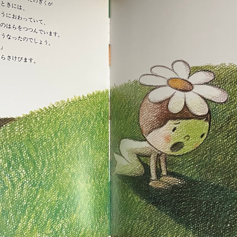 すぎのきとのぎく | Soleil et Lune Online Store