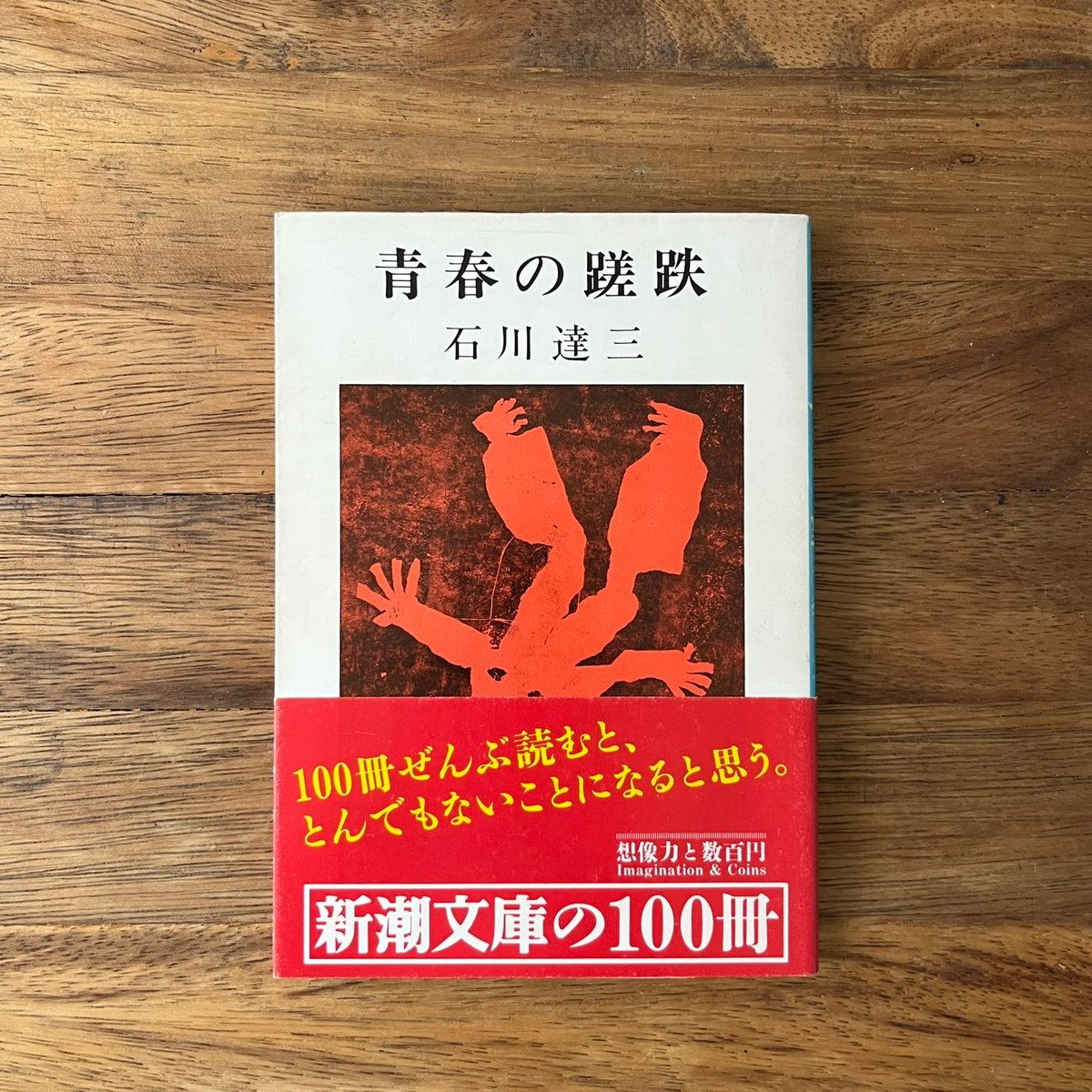 青春の蹉跌 | Soleil et Lune Online Store