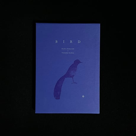 中西なちお | STORES