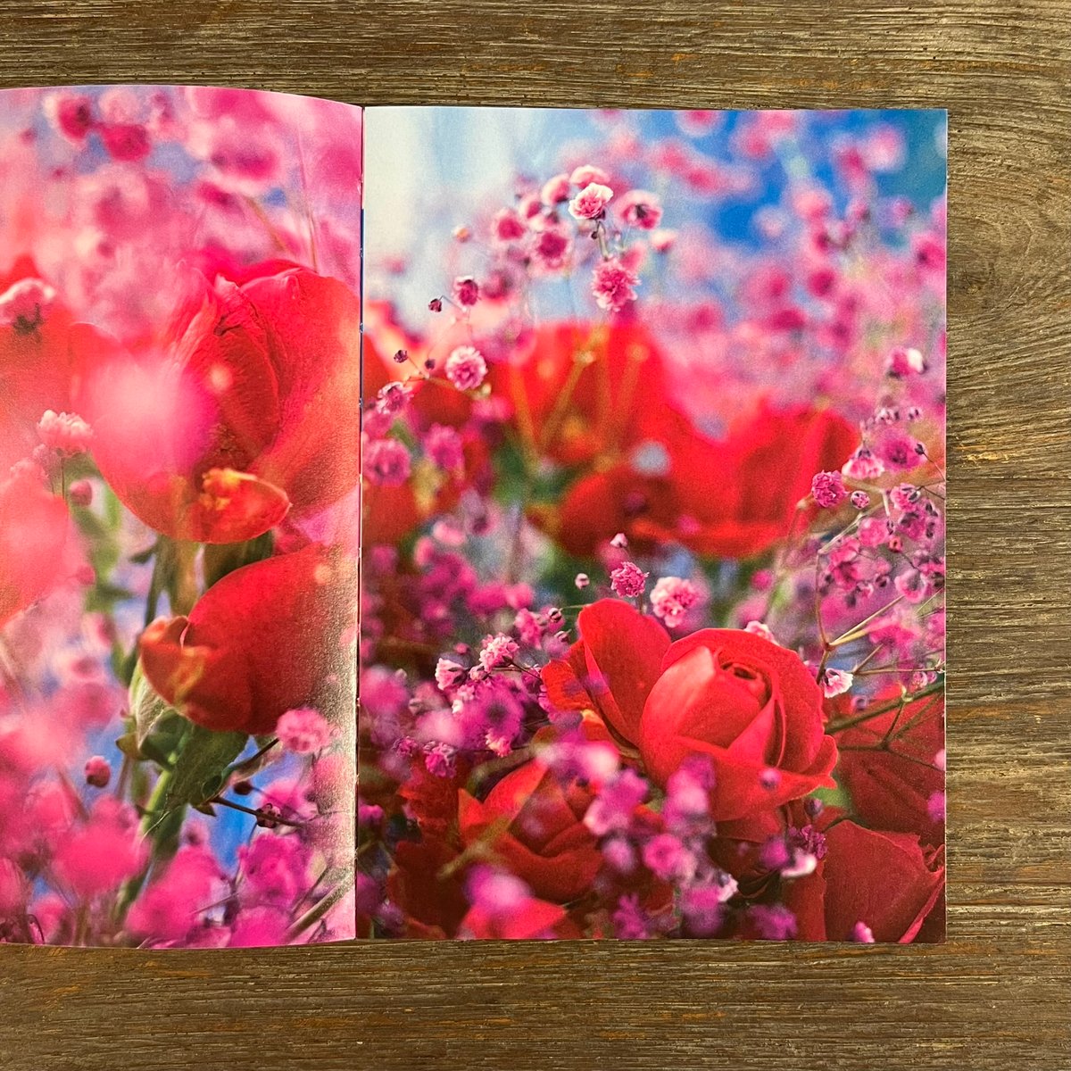 earthly flowers heavenly colors | Soleil et Lun