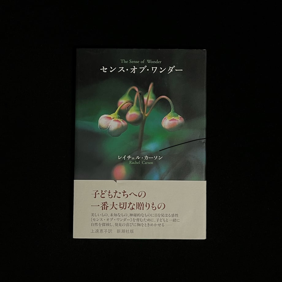 673ee197db4bc100016d27d4