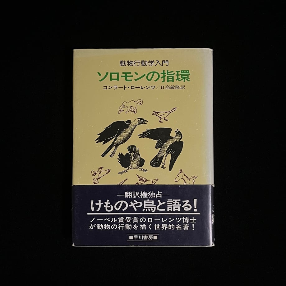 64d872c65d2d4e000110b3c9