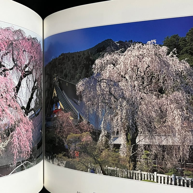【新品未開封・希少絶版】アポロ社 1500ピース 嵯峨野の竹林 森田敏隆 一本桜 森田敏隆写真集 | Soleil et Lune Online Store