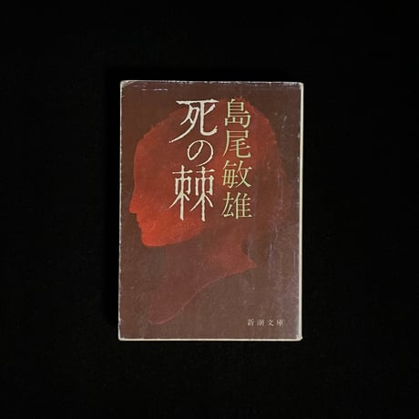 （Soleil松陰神社前）死の棘