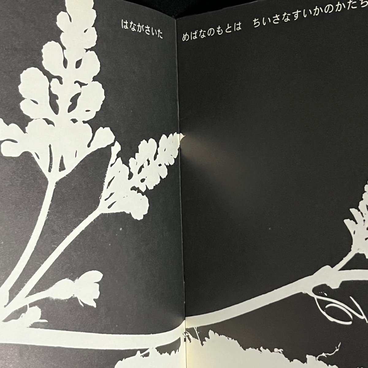 すいか かがくのとも | Soleil et Lune Online Store