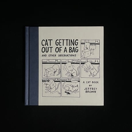 CAT GETTING OUT OF A BAG