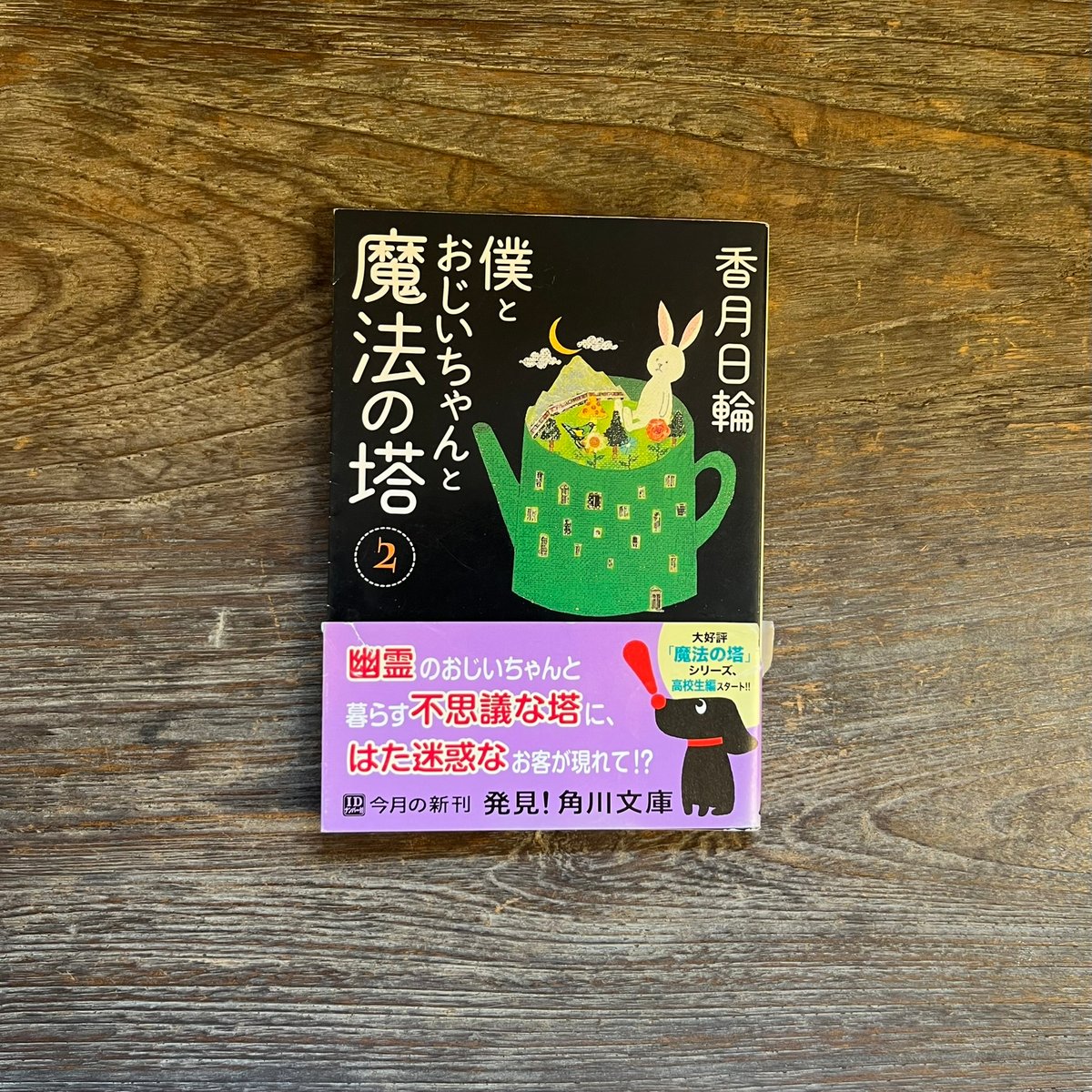 僕とおじいちゃんと魔法の塔② | Soleil et Lune Online Store