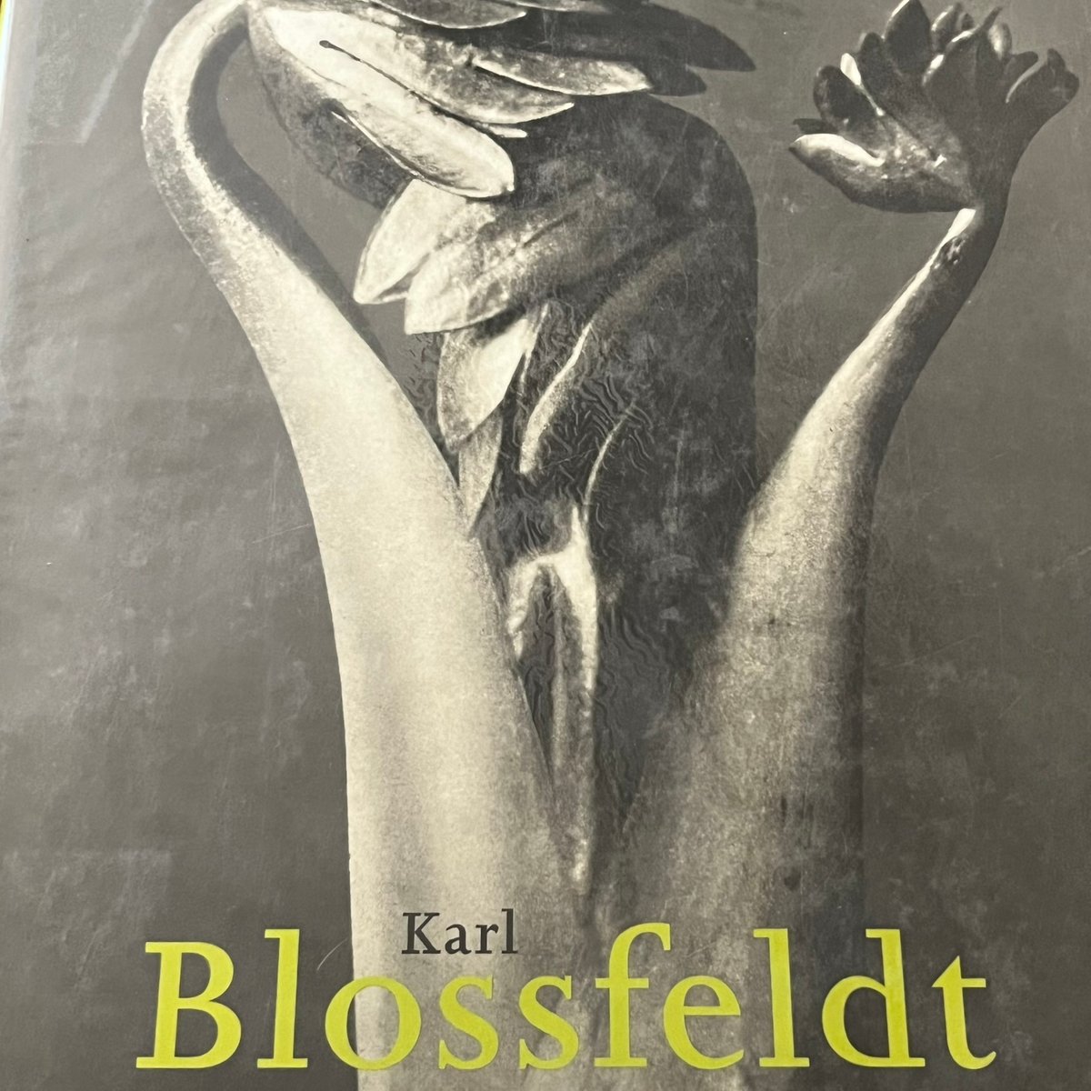 Karl Blossfeldt 1865-1932 | Soleil et Lune Onli