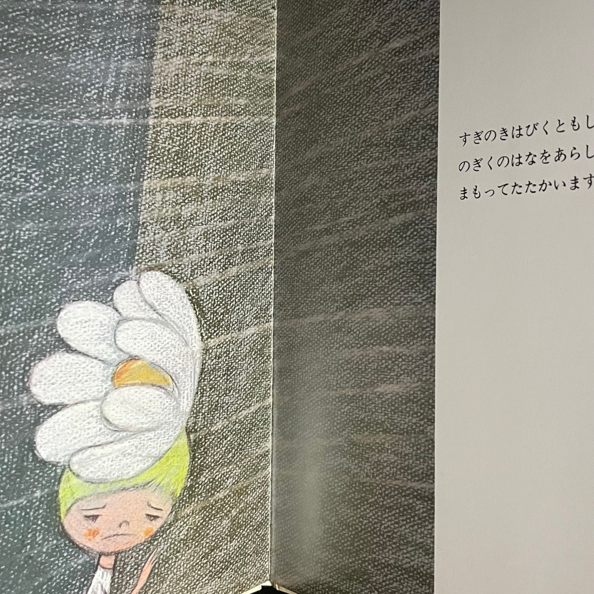 すぎのきとのぎく | Soleil et Lune Online Store