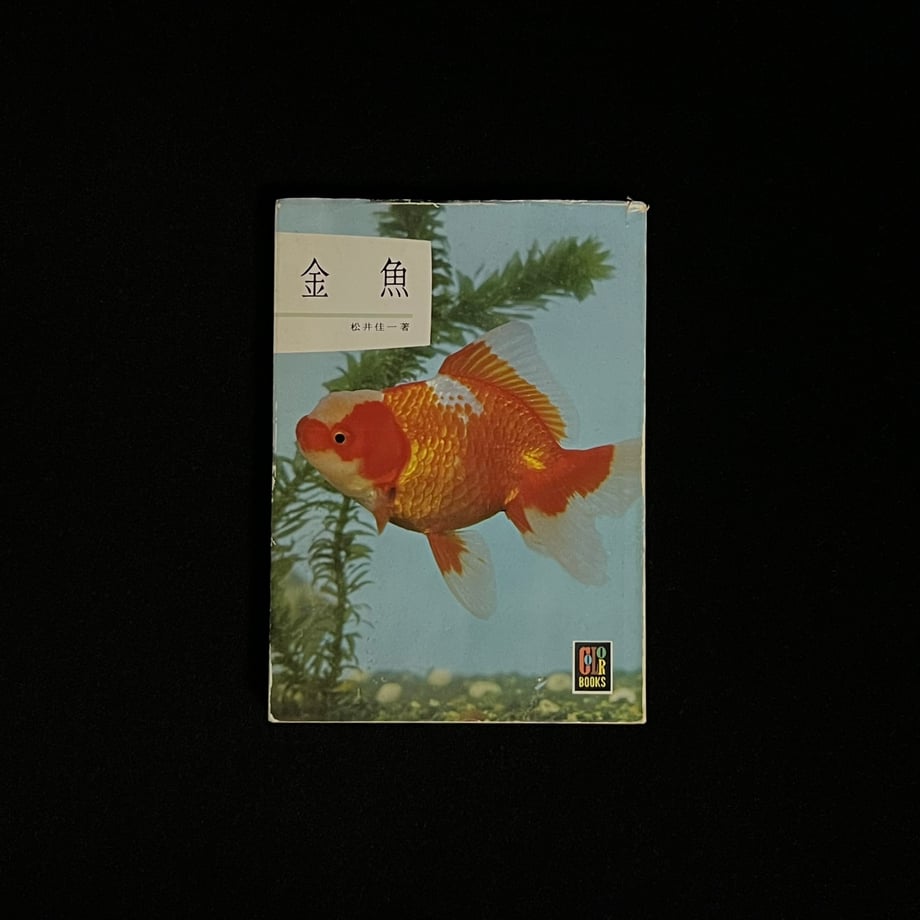 66df9a3762289b000150e398