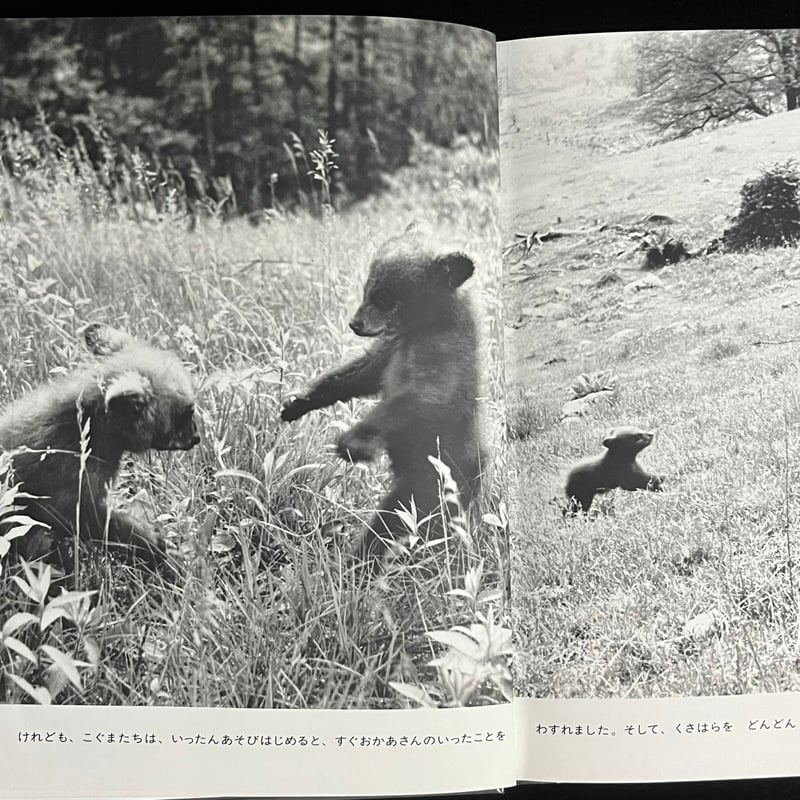 Soleil松陰神社前）二ひきのこぐま | Soleil et Lune Online Store