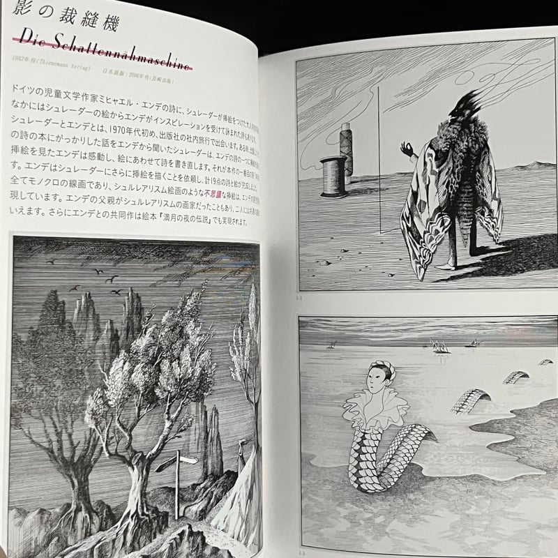 葉っぱ小屋さんで販売済)ビネッテ・シュレーダー 美しく不思議 葉っぱ小屋さんで販売済)ビネッテ・シュレーダー 美しく不思議