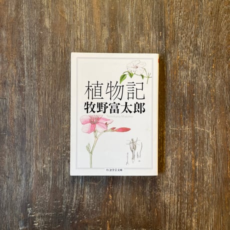 牧野富太郎 | STORES