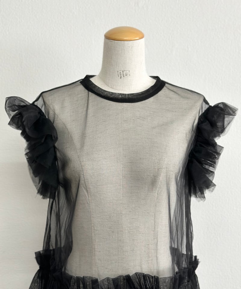 tulle frill sheer tops〈477-000428〉 | agawd select