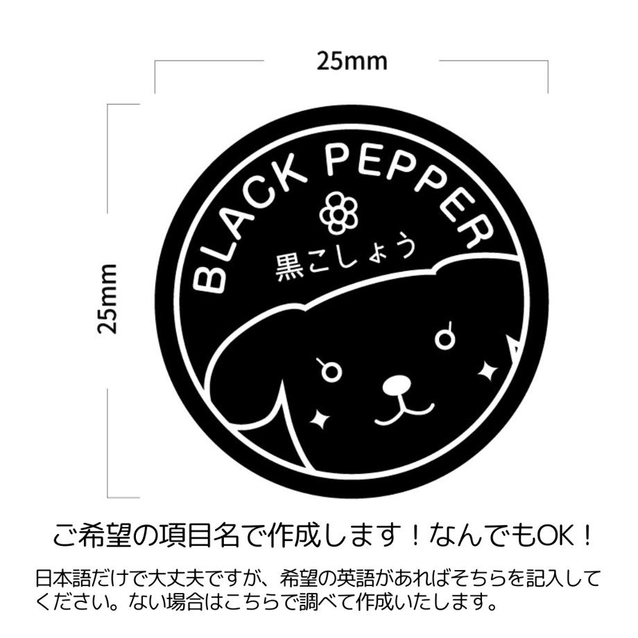 63e5d9d11c15187e59f12024