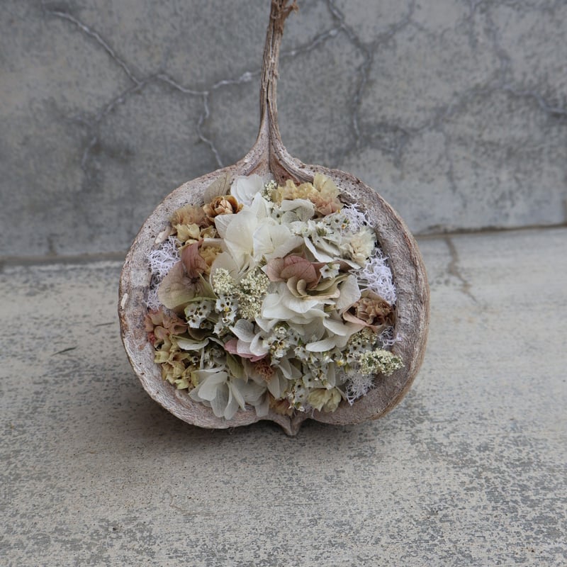 ブッタナッツBuddhaCoconut B-① | odorantes-garden 