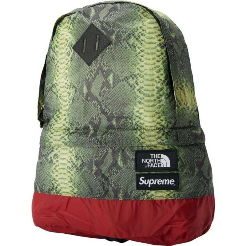 Supreme × THE NORTH FACE スネーク バックパック