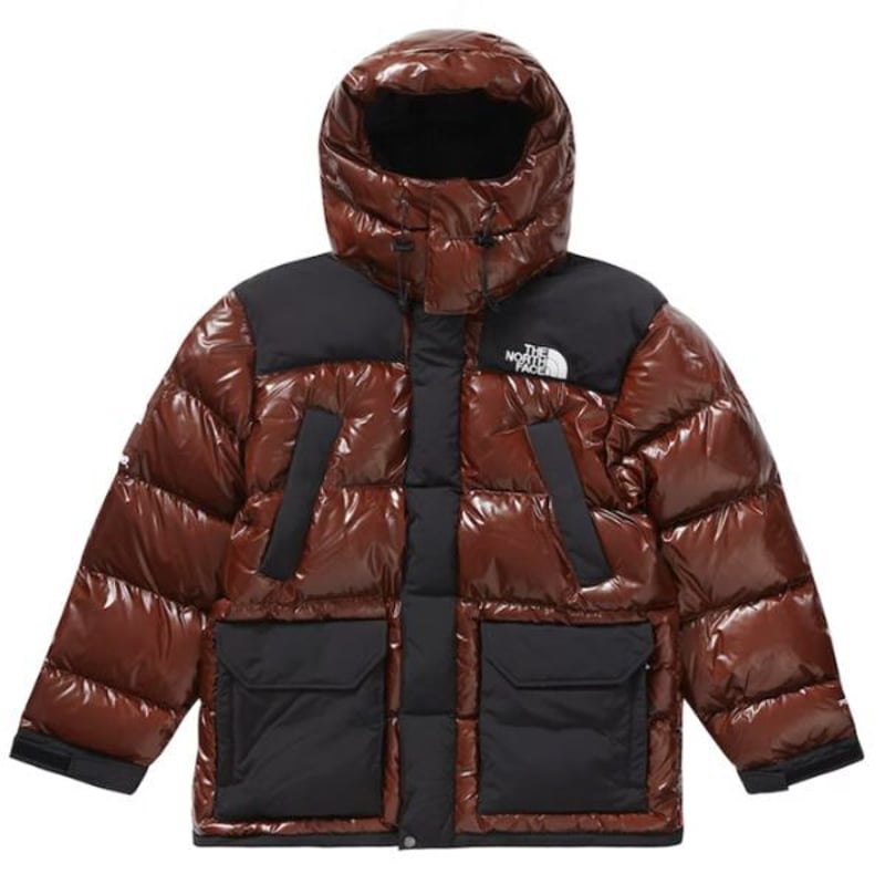 Supreme THE NORTH FACE 700-Fill Down Parka FW22