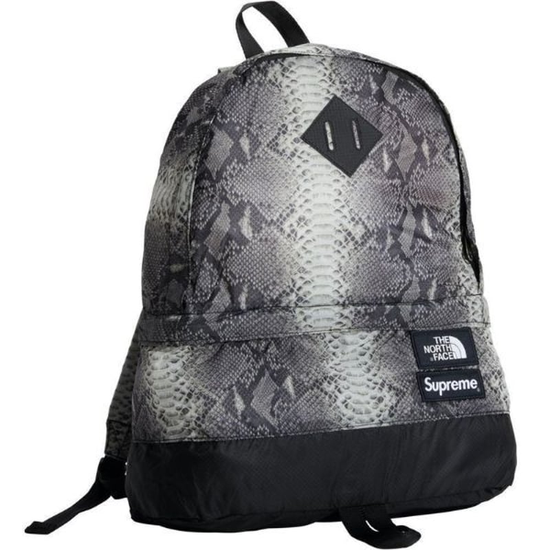 Supreme The North Face Snakeskin Lightweight Da...