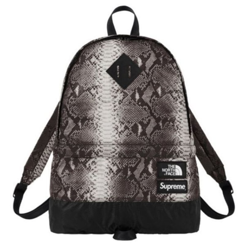 Supreme The North Face Snake Daypack