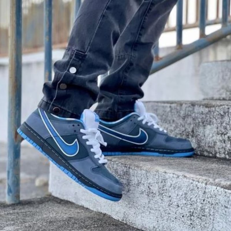 Nike SB Dunk Low