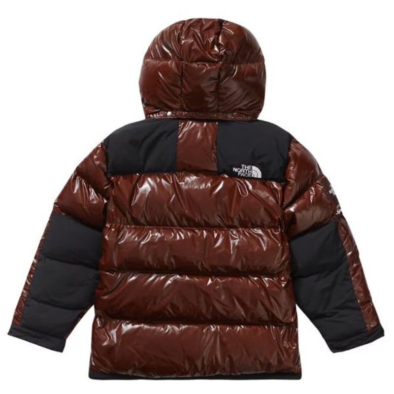 Supreme THE NORTH FACE 700-Fill Down Parka FW22