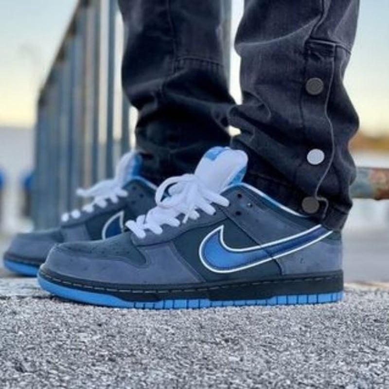 Nike SB Dunk Low 