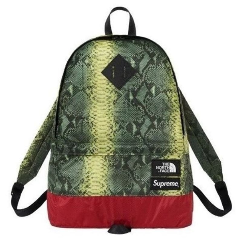 Supreme The North Face Snakeskin Lightweight Da...