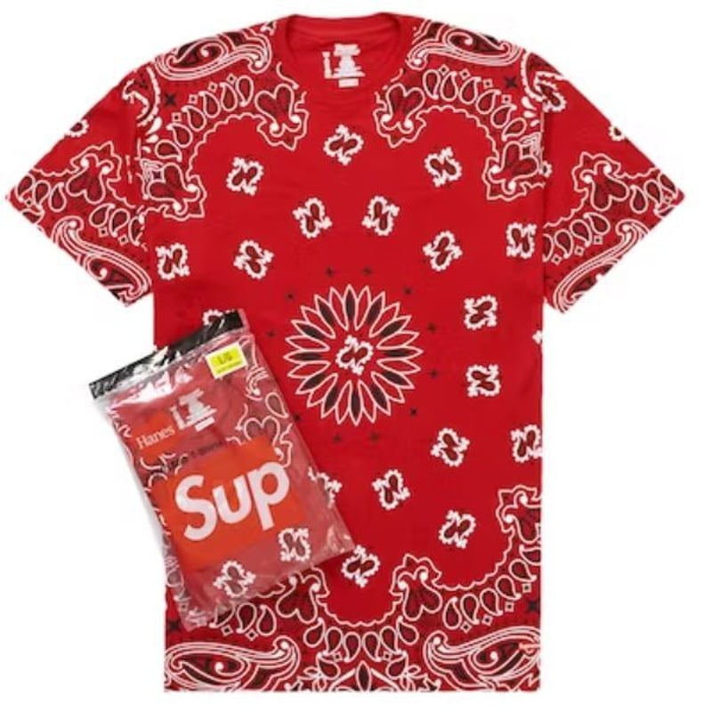 Supreme Bandana Tagless Tees 2Pac (シュプリーム バンダナ Supreme Bandana Tagless Tees 2Pac (シュプリーム バンダナ
