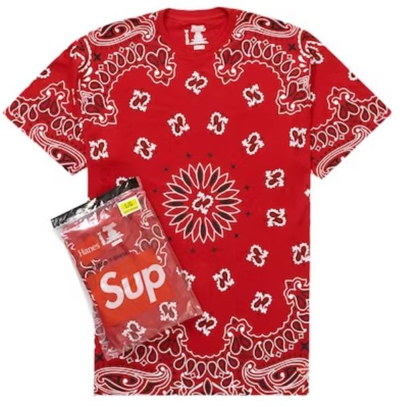 Supreme Bandana Tagless Tees 2Pac (シュプリーム バンダナ