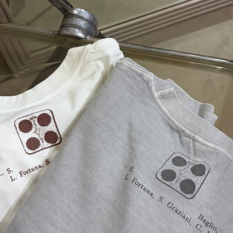 catalogue long T-shirt26 "ice gray"