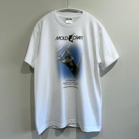 souvenir KOALA T-shirt  White
