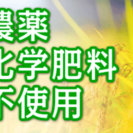 岡山県産　無・無　にこまる　玄米　2kg