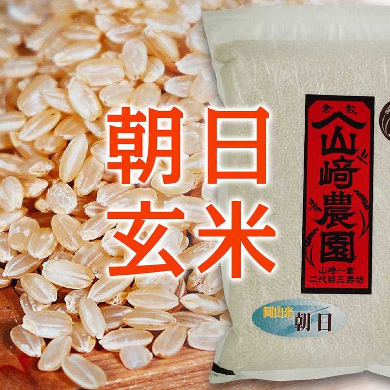 岡山県産 幻の朝日米 令和5年産玄米10キロ×2（20キロ） - 米・雑穀・粉類