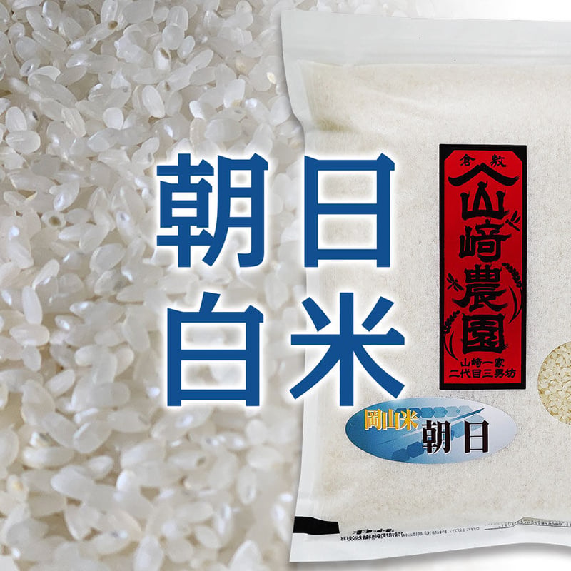 岡山県産 幻の朝日米 令和5年産 玄米10kg 白米10kg