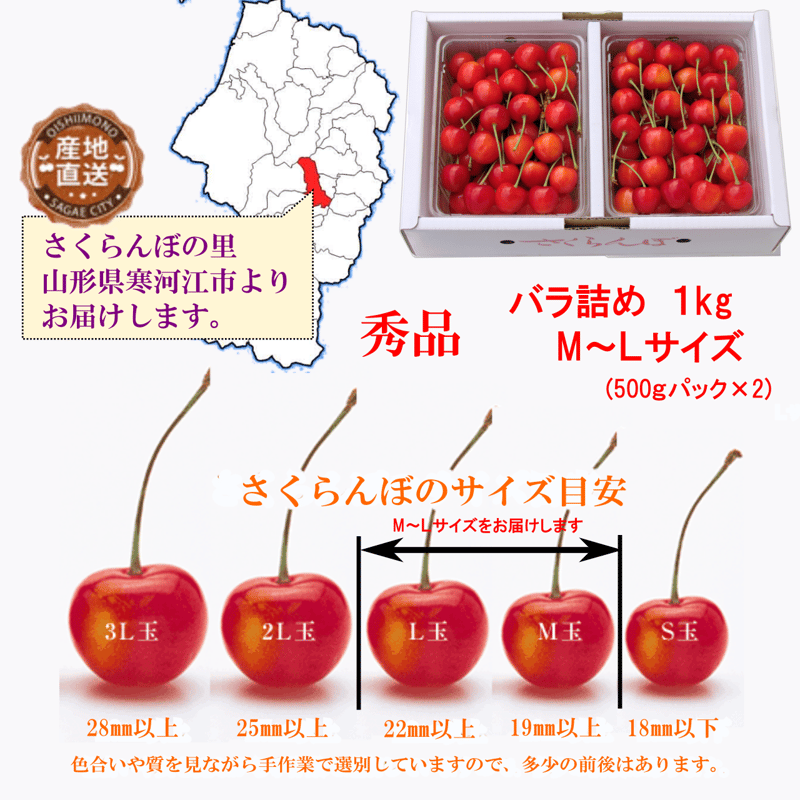 さくらんぼの王様 佐藤錦 M～Ｌサイズ バラ詰め自宅用 1kg化粧箱入り