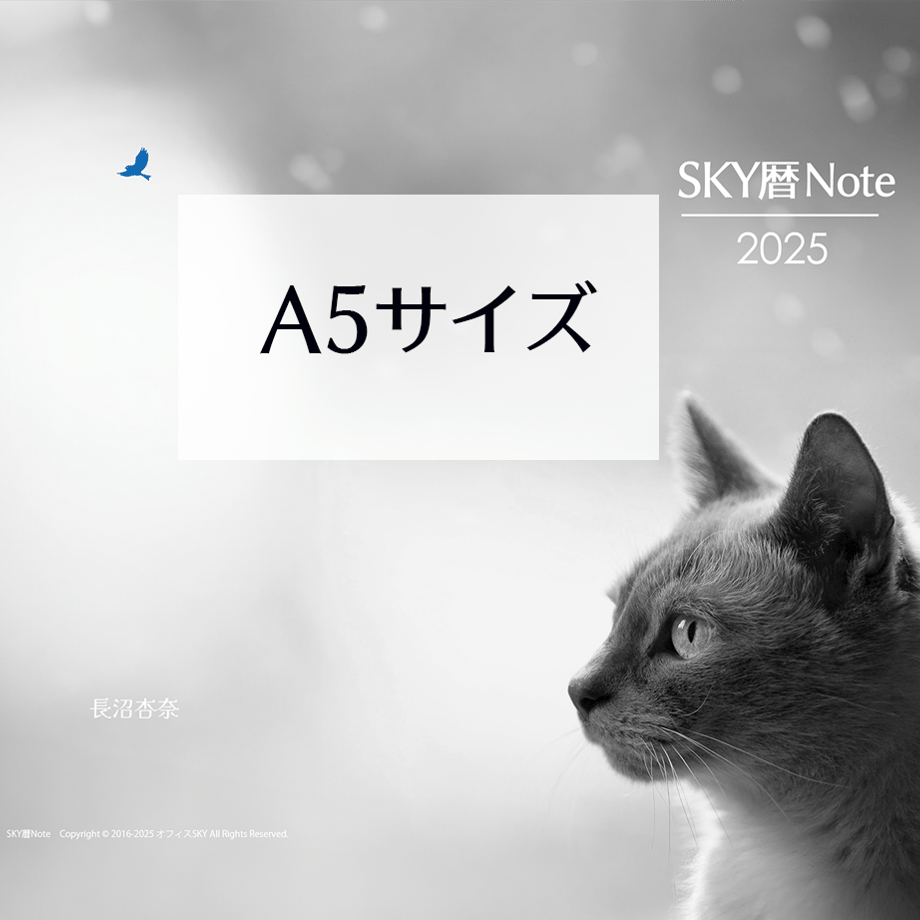 6501c29fd7091d0028d554db