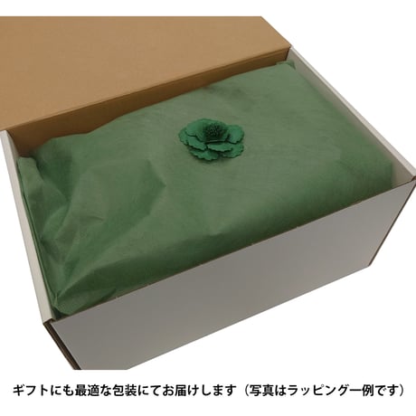 財布ベッド。【 グリーン 】