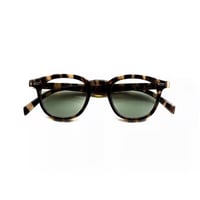SZADE Walton - Walnut/Matcha