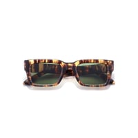SZADE Dixon - Walnut / Moss polarised