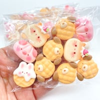 【B245】  10個  訳あり  B品 パック
