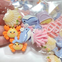 10個 訳あり B品 パック
