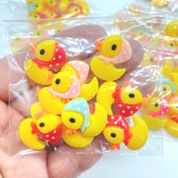 10個  訳あり  B品 パック