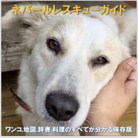 『ネパールレスキューガイドブック💖』