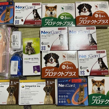 フロントライン１年分１回応援