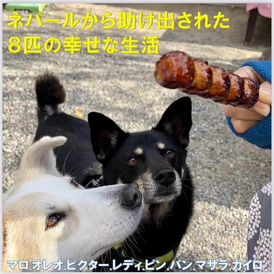 68a3ec0d8119e53de771e777