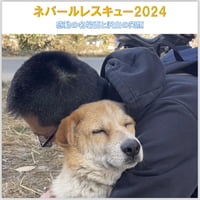ネパールレスキューの名場面と輝く笑顔